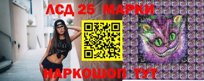 mdma Аргун