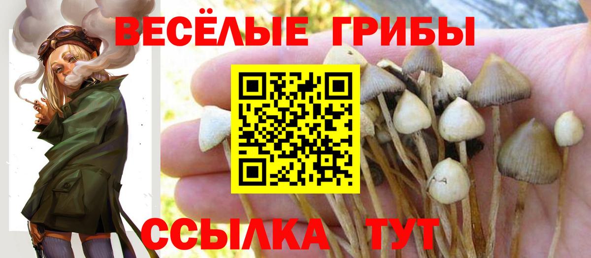 Галлюциногенные грибы мухоморы Асино