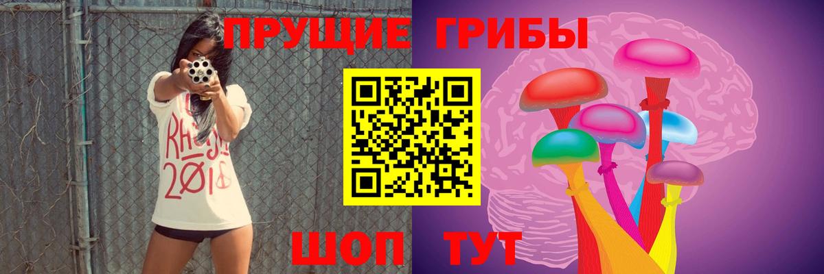 Псилоцибиновые грибы Psilocybe  Вход с VPN  Псилоцибиновые грибы Cubensis  Асино 